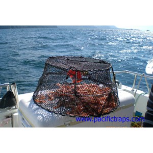 ST007 Pacific Round Stainless Steel Prawn Trap 28"
