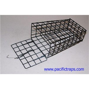 CA008 Small Steel Bait Cage