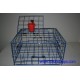 CT012 Pacific 24" Folding Steel Crab Trap with Top open